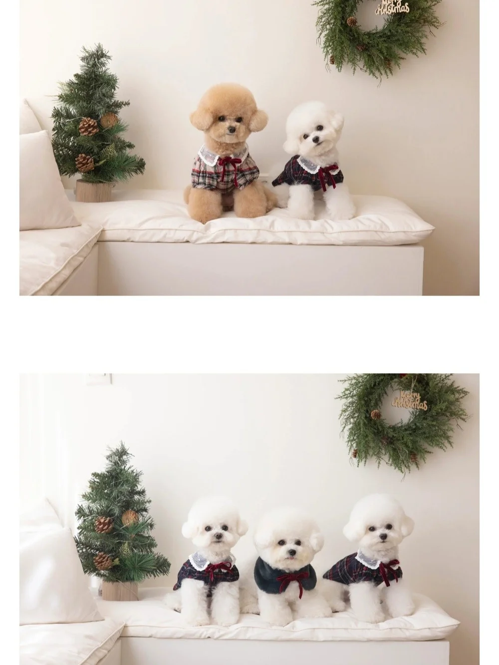 Plaid Lace-Collar Dog Dress with Velvet Bow - White & Red